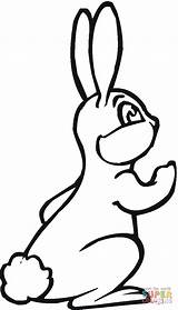 Lebre Liebre Hase Colorir Ausdrucken Ausmalbilder Liebres Desenhos Ausmalbild Hare Bunny sketch template