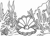 Coloring Oyster Scenery Reefs Coral Beautiful Pages Seven Wonderful sketch template