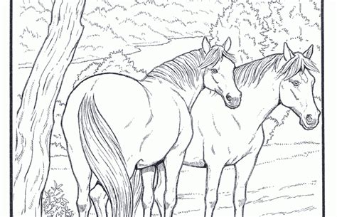coloring pages horse coloring pages horse coloring