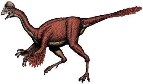 dinosaur called chicken  hell  washington post