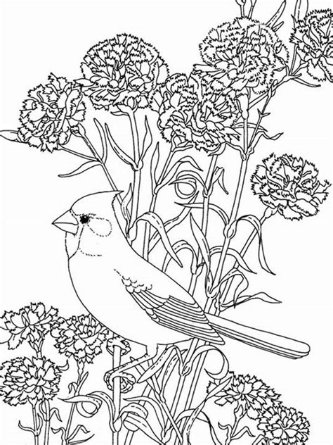 bird  beautiful flowers coloring page color luna