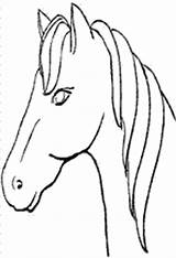 Horses Fun Kids Paard Kleurplaatjes Coloring sketch template