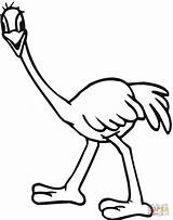 Emu Avestruz Ostrich Kids Australien Colorir Ausmalbilder Struisvogel Tiernos Pintarcolorir Dibujar sketch template