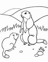 Groundhog Coloring Pages Printable Animals Drawings Coloringcafe Color sketch template