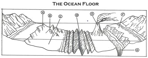 ocean floor labeling worksheet nivafloorscom