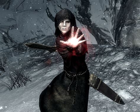 how to make the best necromancer build in skyrim special edition