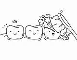 Dientes Denti Dentes Colorir Colorare Dibujar Dentista Bucal Higiene Boca Dents Cuerpo Disegni Lingua Throat Acolore Bocca Rins Dibuixos Ampliar sketch template