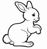 Rabbit Coloring Template Templates Shape Pages Colouring Sample sketch template