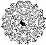 Mandala Yang Yin Mandalas Leaves Cool Coloring Elegant Difficult Pages Complex Designs Symbol Middle Lot Perfect Details Adults If Creativity sketch template