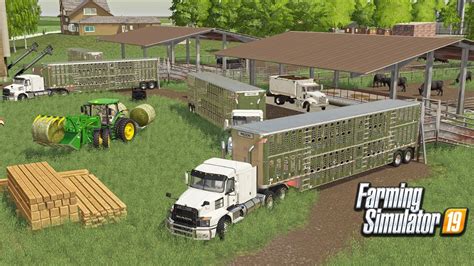 stocking  feedlots  yearlings  head roleplay farming simulator  youtube