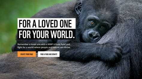 wwf uk unveils tribute fund website allowing donors  raise funds