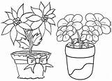 Flower Pot Coloring Pages Decorated Artfully Flowers sketch template