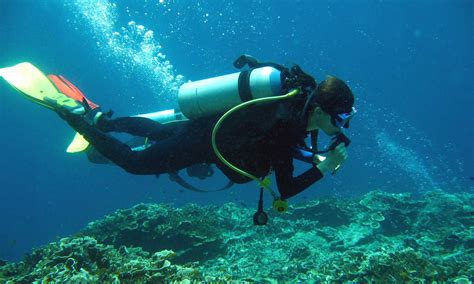 scuba diving  moalboal cebu planet action adventure  services moalboal cebu philippines