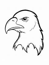 Eagle Golden Coloring Getdrawings Drawing sketch template