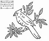 Embroidery Patterns Bird Birds Cardinal Transfer Knots French Library Clipart Coloring Choose Board sketch template