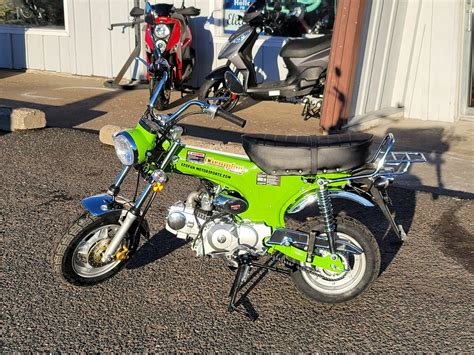 icebear champion  motorcycle motorcycles  forest lake mn icez green