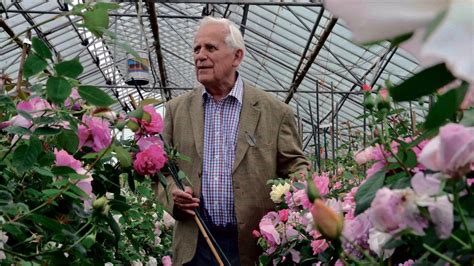 rose breeder david austin s lasting legacy nz