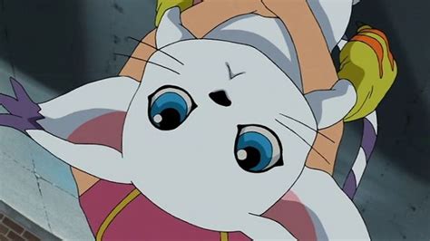 159 Best Images About Digimon Kari On Pinterest Crests