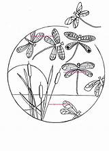 Coloring Pages Dragonfly Adult Dragonflies Adults Hand Drawn Digital sketch template