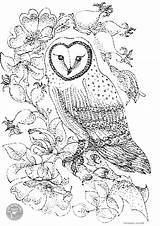 Coloring Owl Pages Roses Colouring Kids Printable Adults Barn Print Color Nature Bird Owls Detailed Books Wild Birds Sheets Bestcoloringpagesforkids sketch template