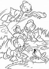 Paco Disneydibujos Duck sketch template