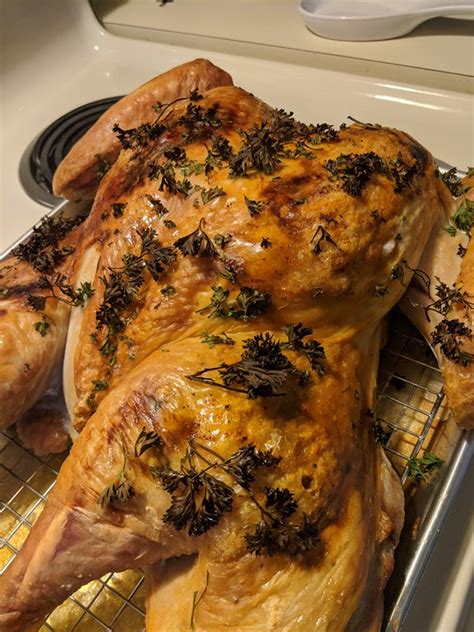 dry brined spatchcocked turkey recipe eat your books