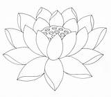 Lotus Coloring Pages Flower Printable Kids Drawing Outline Pencil sketch template