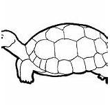 Coloring Save Turtle Pages sketch template