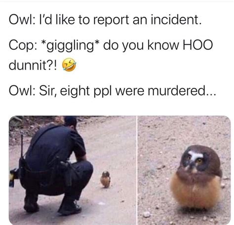 who gives a hoot meme by elmacanite memedroid