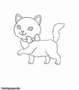 Coloringpages Kittens sketch template