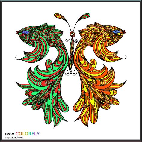 coloring colorfly  images adult coloring animals color fly