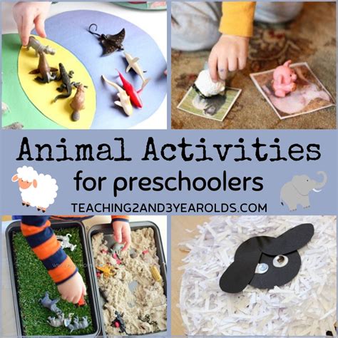 fun toddler  preschool animal activities