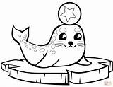 Coloriage Phoque Banquise Ausmalbilder Bebe Robben Dessin Seals Imprimer Foca Mignon Ghiaccio Ice Walrus Eisscholle Floe Ausmalbild Supercoloring Otters sketch template