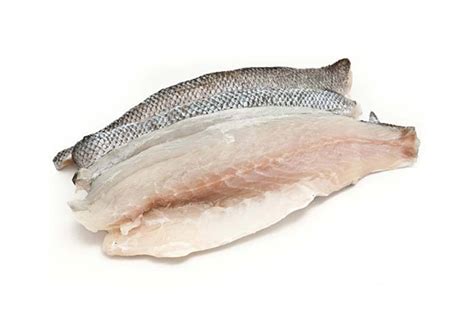 Sea Bass Fillet Seafood Suppliers Seafood Exporters