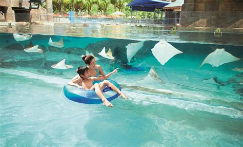 vé tham quan công viên nước adventure cove có Đưa đón một