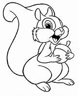 Coloring Pages Squirrel Printable Kids Bestcoloringpagesforkids Disney Animal sketch template