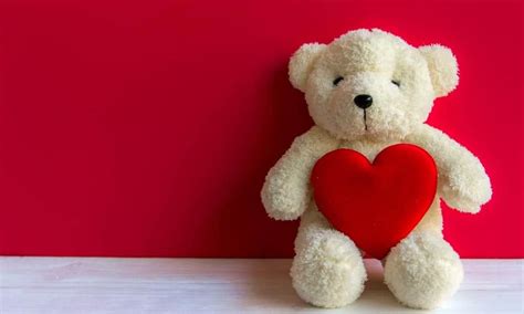 teddy bear  good valentines day gift   girlfriend
