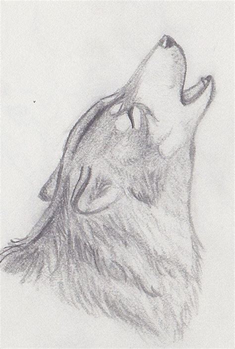 Howling Wolf Drawing With Images Wolf Drawing Wolf