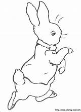 Rabbit Pages Coloring Brer Getcolorings Peter sketch template