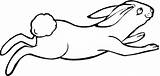 Lepre Hare Liebre Saltando Hase Lepri Kleurplaten Lapin Ausmalbild Springender Conejos Saute Salto Americana Jumping Hares Jackrabbit sketch template
