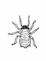 Coloring Pages Aphid Greenfly Aphids Printable Coloringbay Supercoloring Color Categories sketch template