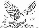 Tauben Duiven Kleurplaten Palomas Malvorlage Burung Mewarnai Dieren Malvorlagen Taube Merpati Pigeons Ausmalbild Piccione Animierte Piccioni Dara Coloriages Duif Animasi sketch template