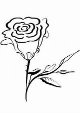 Coloring Rose Large sketch template