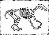 Dinosaur Skeleton Coloring Bones Pages Bone Getcolorings Drawing Getdrawings Color sketch template