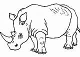 Rinoceronte Colorear Rhino Rinocerontes Colouring Rhinos Newdesign Grandes Curiosos Fatos Jamieson Marion sketch template