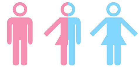 wat is interseksueel het verschil met transgender en