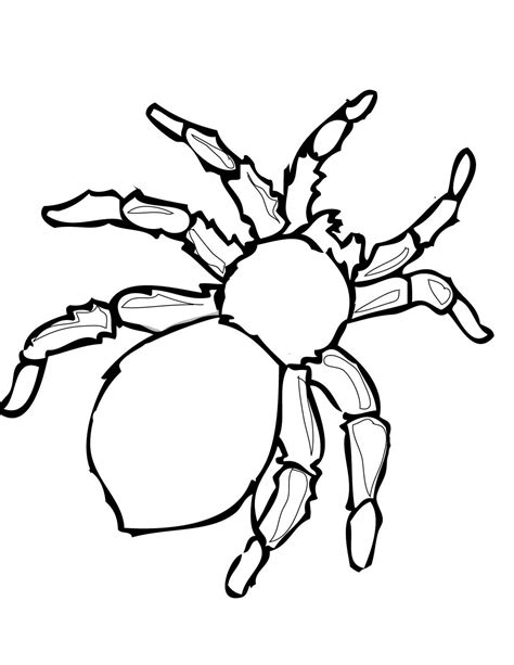 printable halloween decoration cutouts spider coloring page