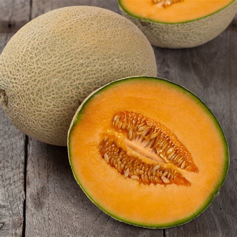 melon cantaloupe hales  jumbo premier seeds direct