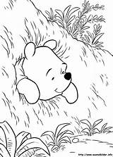 Pooh Winnie Coloring Colorear Puuh Fest Steckt Buraco Hermosas Loch Dibujos Ourson Ausmalbild Malvorlagen Valentines Consejos Coloriages Kostenlos Winne Bellas sketch template