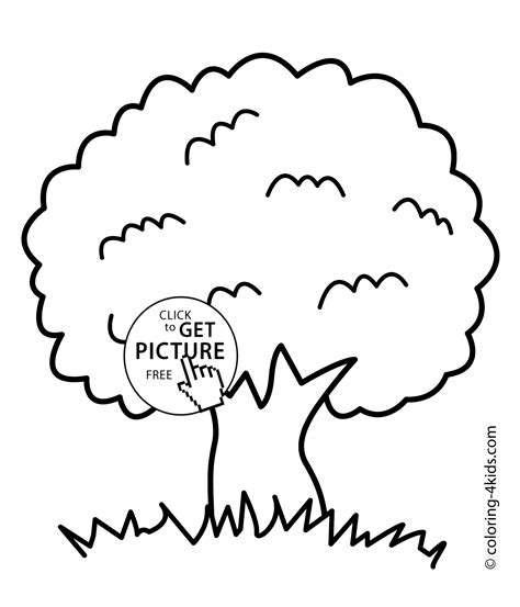 normal tree coloring page  printable coloring pages  kids